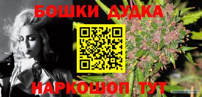 винт Сланцы