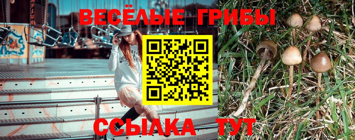 Павловский Посад  купить  сайты  Вход с VPN  Галлюциногенные грибы Magic Shrooms 
